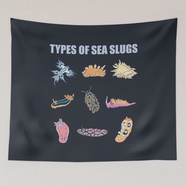 Item preview, Nudibranch Sea Slug Species Marine Biology And Aquarist designed and sold by JokeGysen.