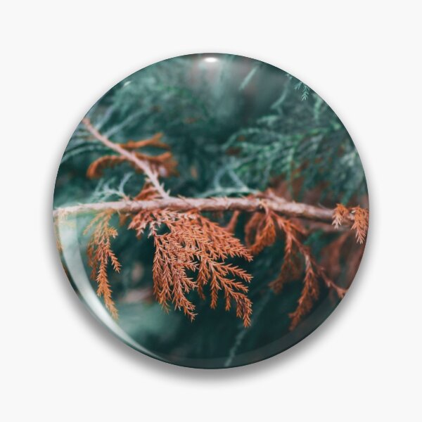 Item preview, Where Autumn meets Summer designed and sold by EarthTonality.