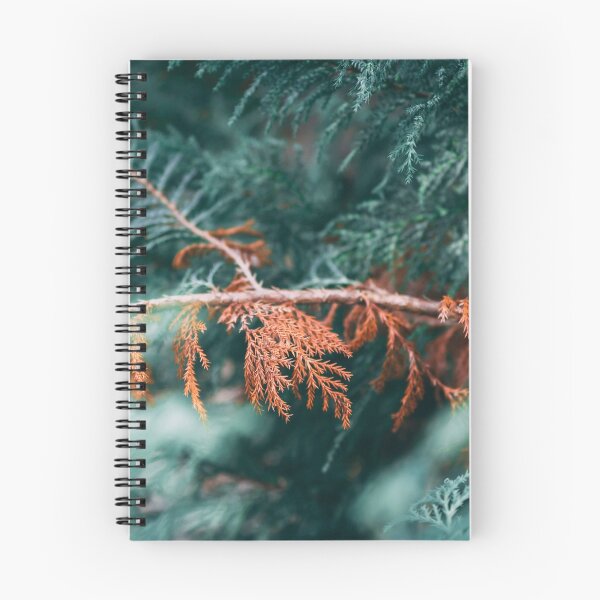 Item preview, Where Autumn meets Summer designed and sold by EarthTonality.