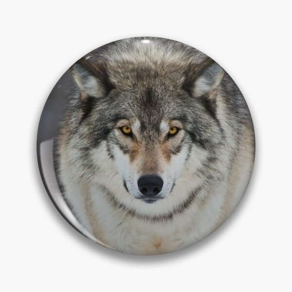 Artikelvorschau, Grauer Wolf entworfen und verkauft von Michael Cummings.