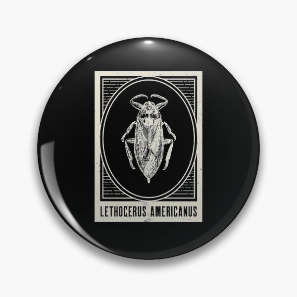 Item preview, Lethocerus Americanus Entomology, Entomologist Gift designed and sold by OldCamp.