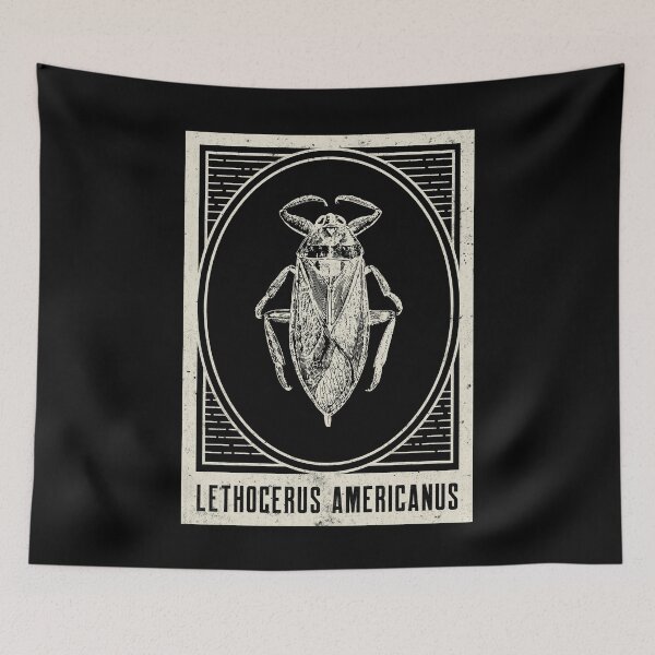 Aperçu de l'œuvre Lethocerus Americanus Entomologie, Cadeau d'entomologiste créée et vendue par OldCamp.