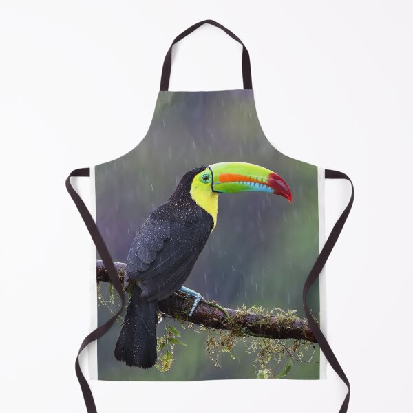 Item preview, Keel-billed toucan - Costa Rica designed and sold by James Cumming.
