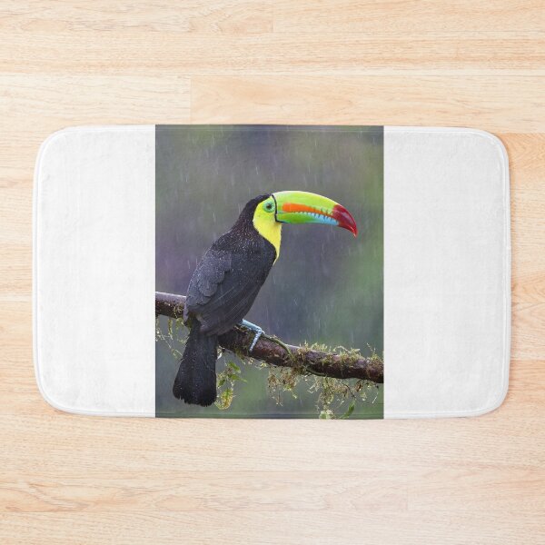 Item preview, Keel-billed toucan - Costa Rica designed and sold by James Cumming.