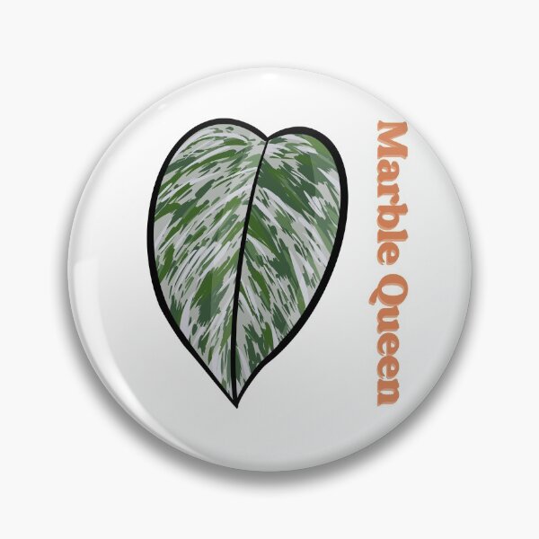 Item preview, Marble Queen Pothos designed and sold by MoonsUtopia.
