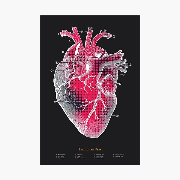 Item preview, Human Heart in Pink designed and sold by Carbono.
