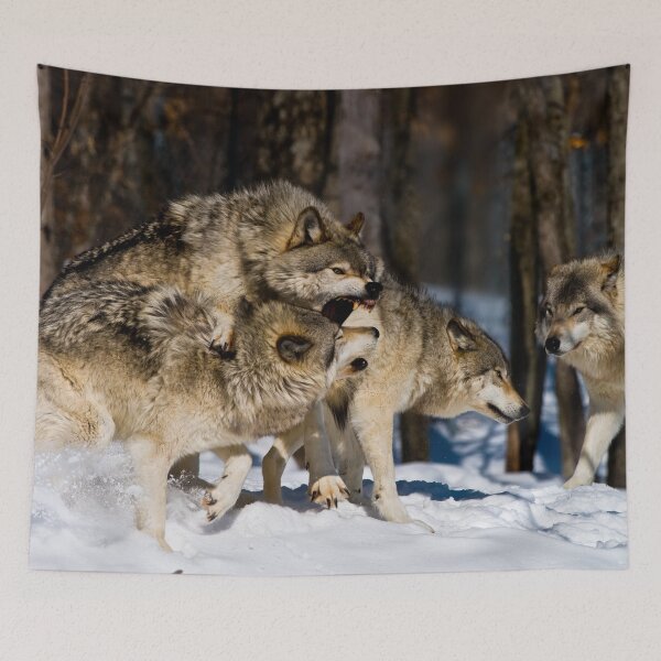 Item preview, Gray Wolves designed and sold by Michael Cummings.