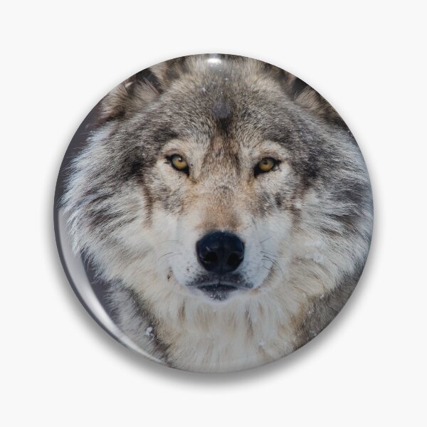 Item preview, Gray Wolf designed and sold by Michael Cummings.