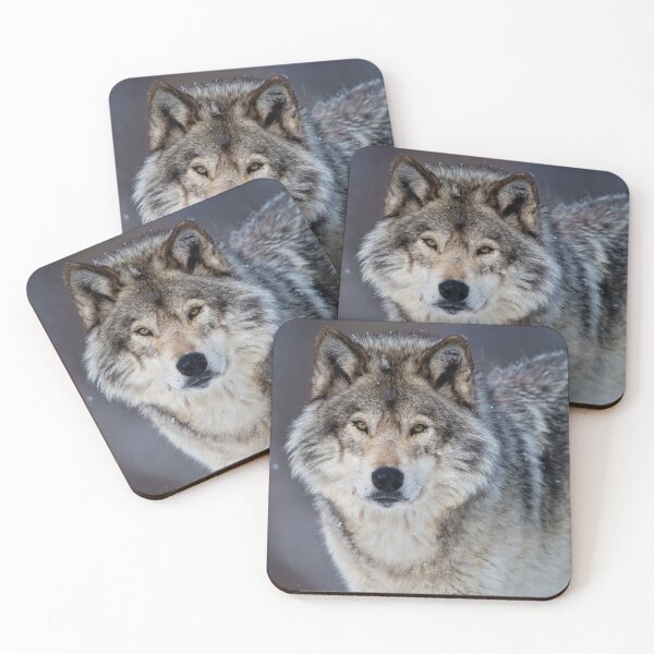 Item preview, Gray Wolf designed and sold by Michael Cummings.