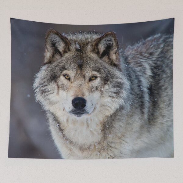 Item preview, Gray Wolf designed and sold by Michael Cummings.