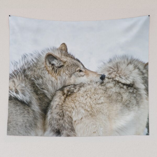 Item preview, Gray Wolves designed and sold by Michael Cummings.