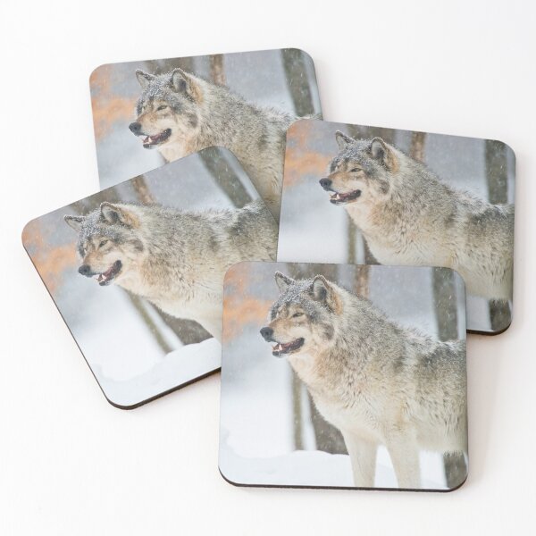 Item preview, Gray Wolf designed and sold by Michael Cummings.