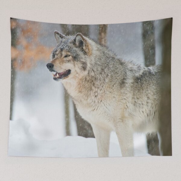 Item preview, Gray Wolf designed and sold by Michael Cummings.