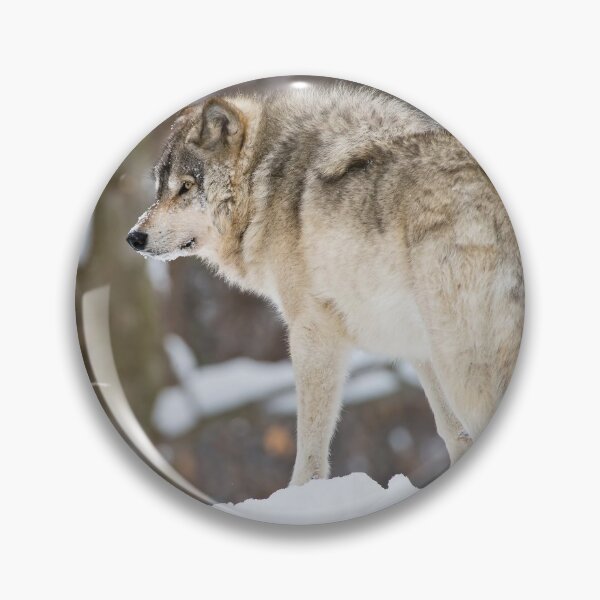 Artikelvorschau, Grauer Wolf entworfen und verkauft von Michael Cummings.