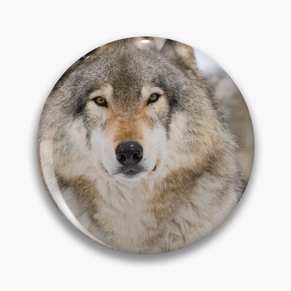 Item preview, Timber Wolves designed and sold by Michael Cummings.