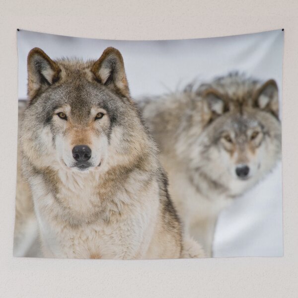 Item preview, Timber Wolves designed and sold by Michael Cummings.