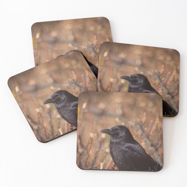 Item preview, Carrion crow portrait designed and sold by Wild-Wight.