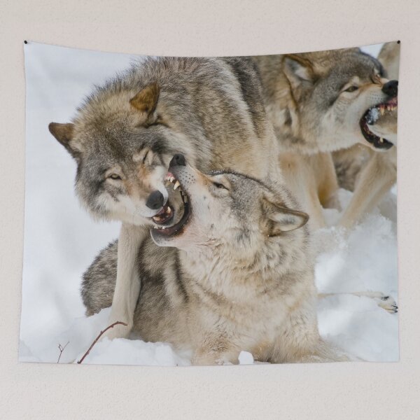 Item preview, Gray Wolves designed and sold by Michael Cummings.