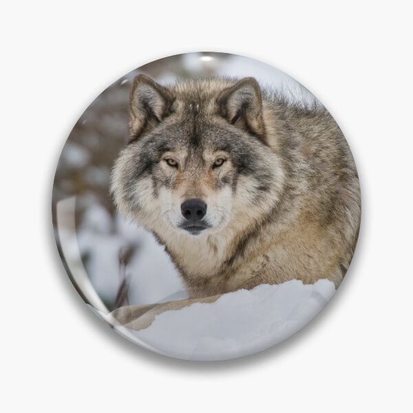 Item preview, Grey Wolf designed and sold by Michael Cummings.