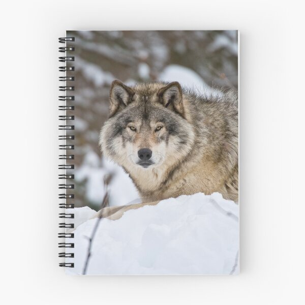 Artikelvorschau, Grauer Wolf entworfen und verkauft von Michael Cummings.