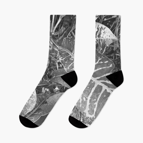 Item preview, Purist picture of tropical garden leaves in black and white designed and sold by Manoroma.