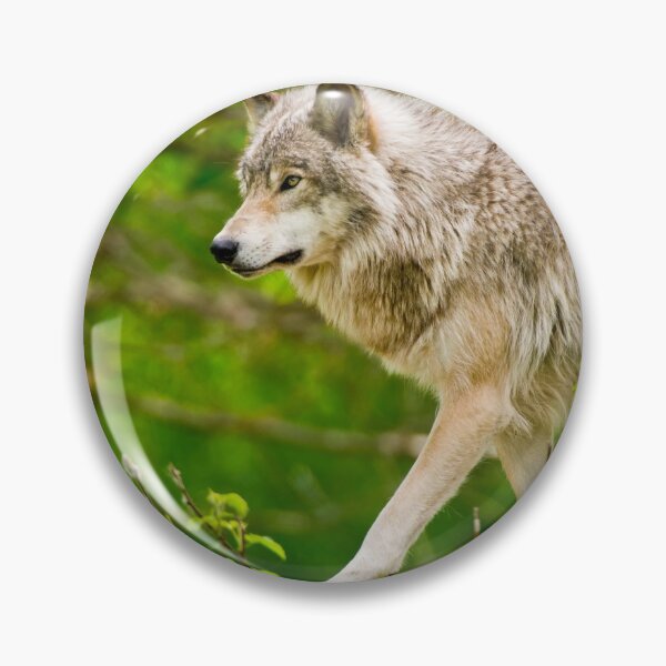 Item preview, Timber Wolf designed and sold by Michael Cummings.