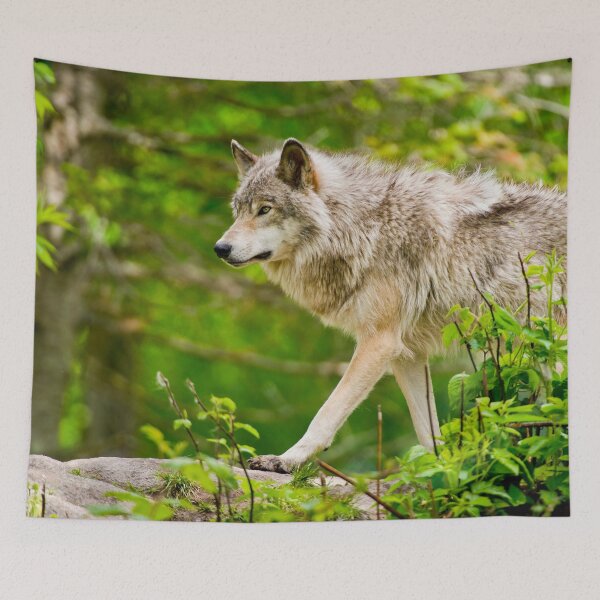 Item preview, Timber Wolf designed and sold by Michael Cummings.