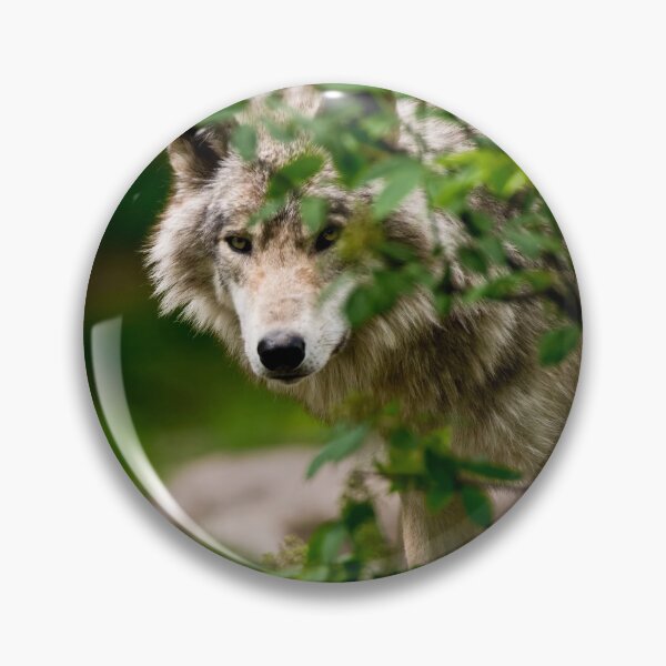 Artikelvorschau, Grauer Wolf entworfen und verkauft von Michael Cummings.