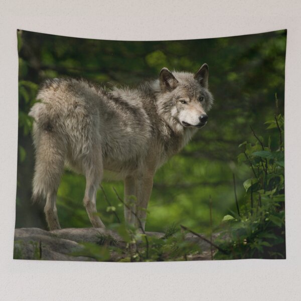 Item preview, Timber Wolf designed and sold by Michael Cummings.