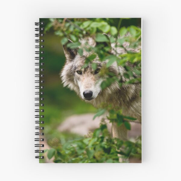 Artikelvorschau, Grauer Wolf entworfen und verkauft von Michael Cummings.