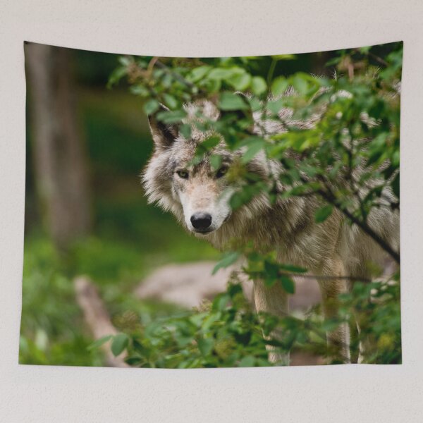 Item preview, Grey Wolf designed and sold by Michael Cummings.