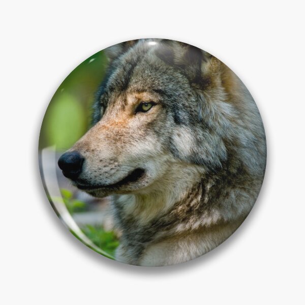 Artikelvorschau, Grauer Wolf entworfen und verkauft von Michael Cummings.