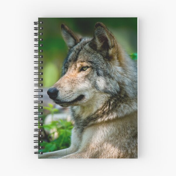 Artikelvorschau, Grauer Wolf entworfen und verkauft von Michael Cummings.