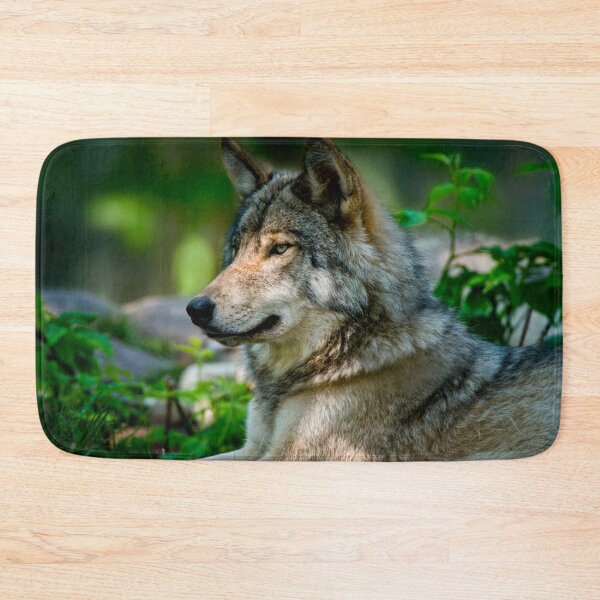 Artikelvorschau, Grauer Wolf entworfen und verkauft von Michael Cummings.