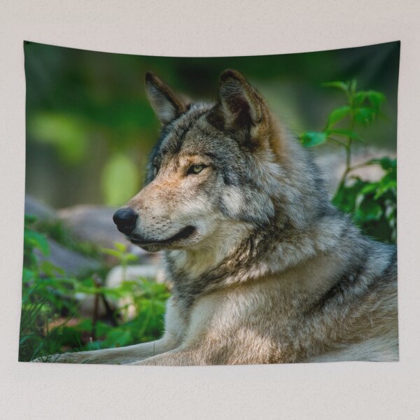 Item preview, Gray Wolf designed and sold by Michael Cummings.