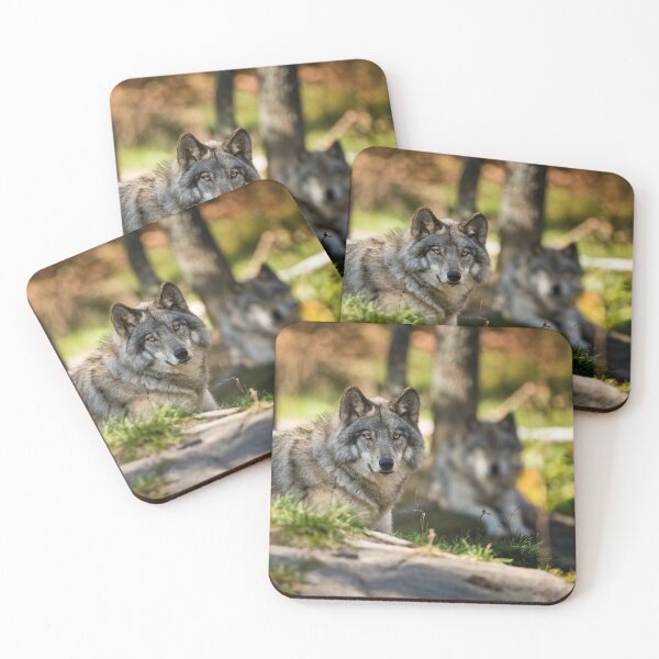 Item preview, Grey Wolf designed and sold by Michael Cummings.