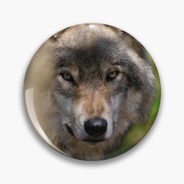 Item preview, Gray Wolf designed and sold by Michael Cummings.