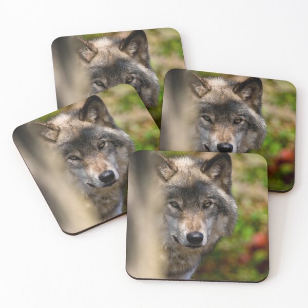 Item preview, Gray Wolf designed and sold by Michael Cummings.