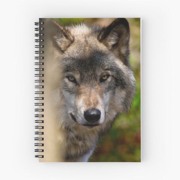 Artikelvorschau, Grauer Wolf entworfen und verkauft von Michael Cummings.