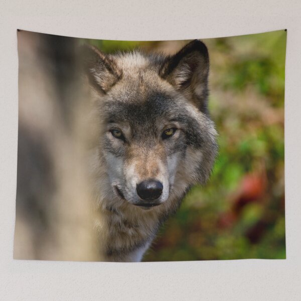 Artikelvorschau, Grauer Wolf entworfen und verkauft von Michael Cummings.