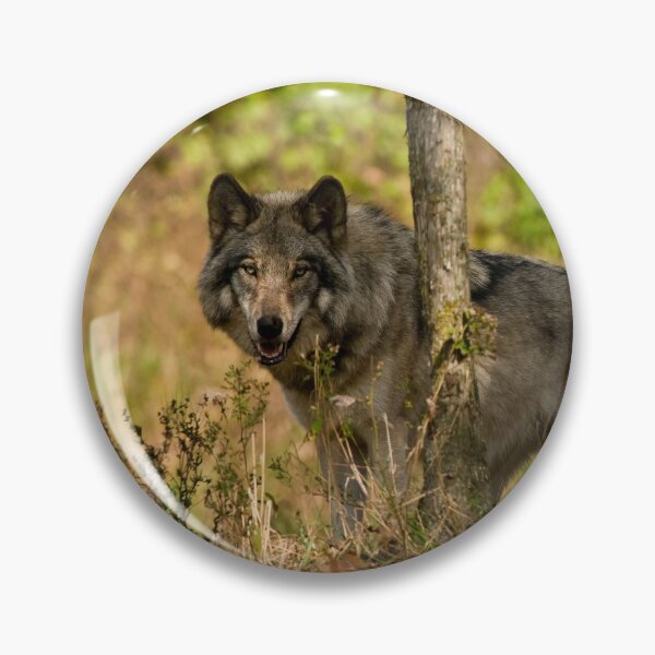 Item preview, Grey Wolf designed and sold by Michael Cummings.