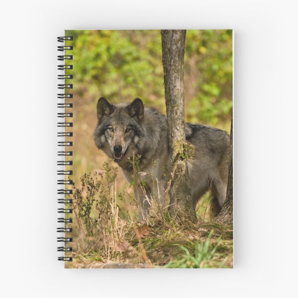 Item preview, Grey Wolf designed and sold by Michael Cummings.