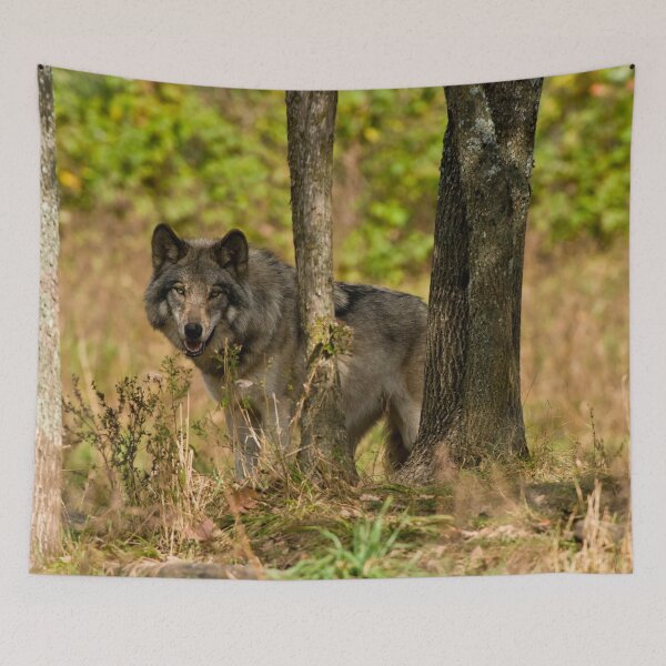 Item preview, Grey Wolf designed and sold by Michael Cummings.