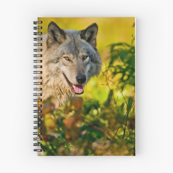 Item preview, Gray Wolf designed and sold by Michael Cummings.