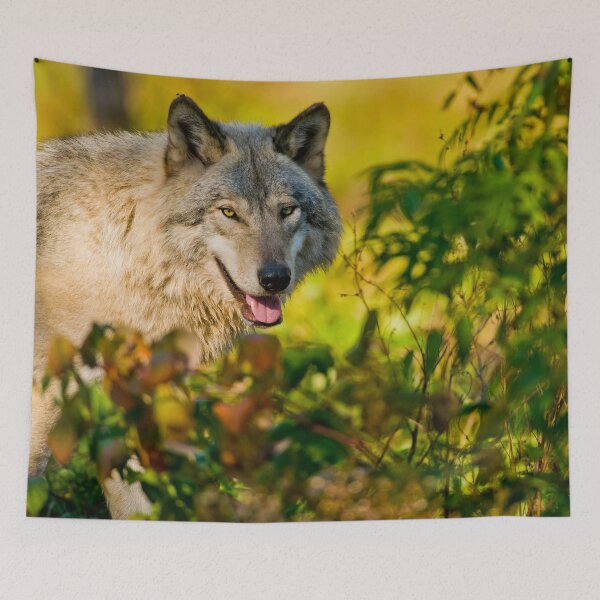 Item preview, Gray Wolf designed and sold by Michael Cummings.