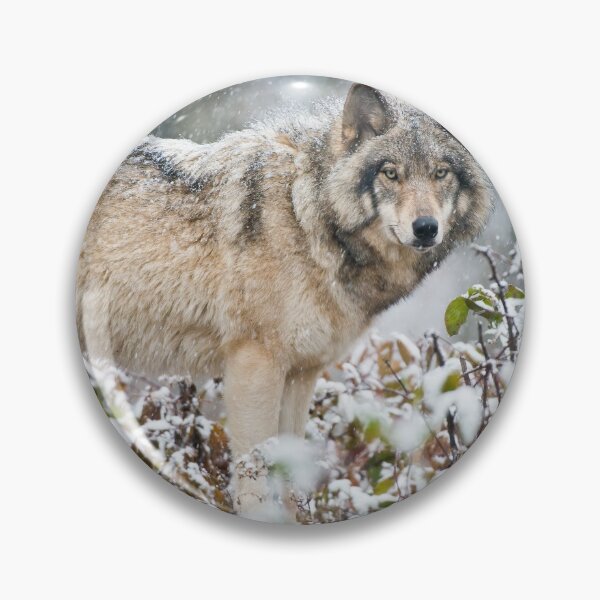 Item preview, Gray Wolf designed and sold by Michael Cummings.