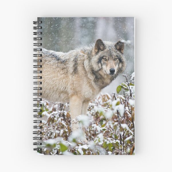 Item preview, Gray Wolf designed and sold by Michael Cummings.
