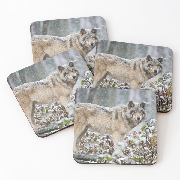 Item preview, Gray Wolf designed and sold by Michael Cummings.