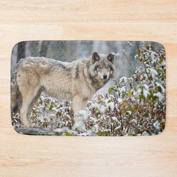Item preview, Gray Wolf designed and sold by Michael Cummings.