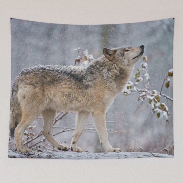 Item preview, Grey Wolf designed and sold by Michael Cummings.